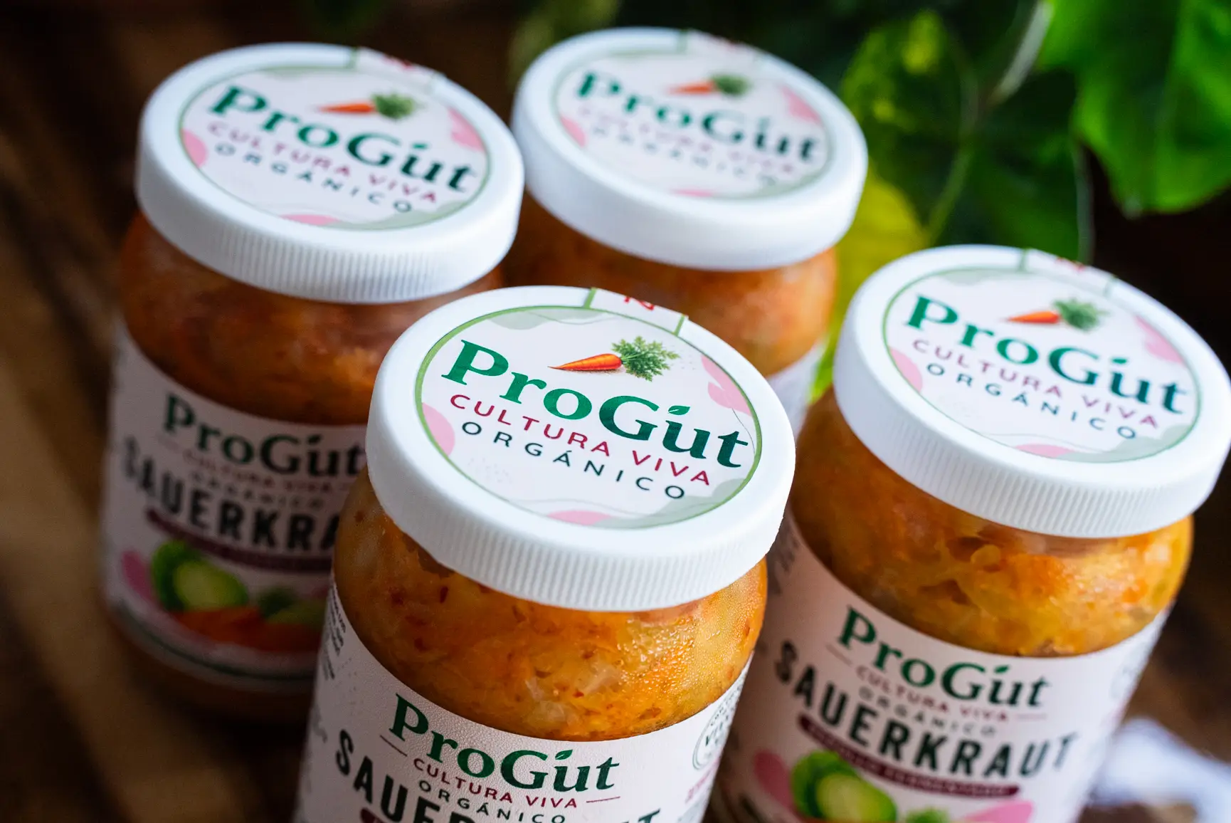 Sauerkraut Signature (Zanahoria) - Image 3