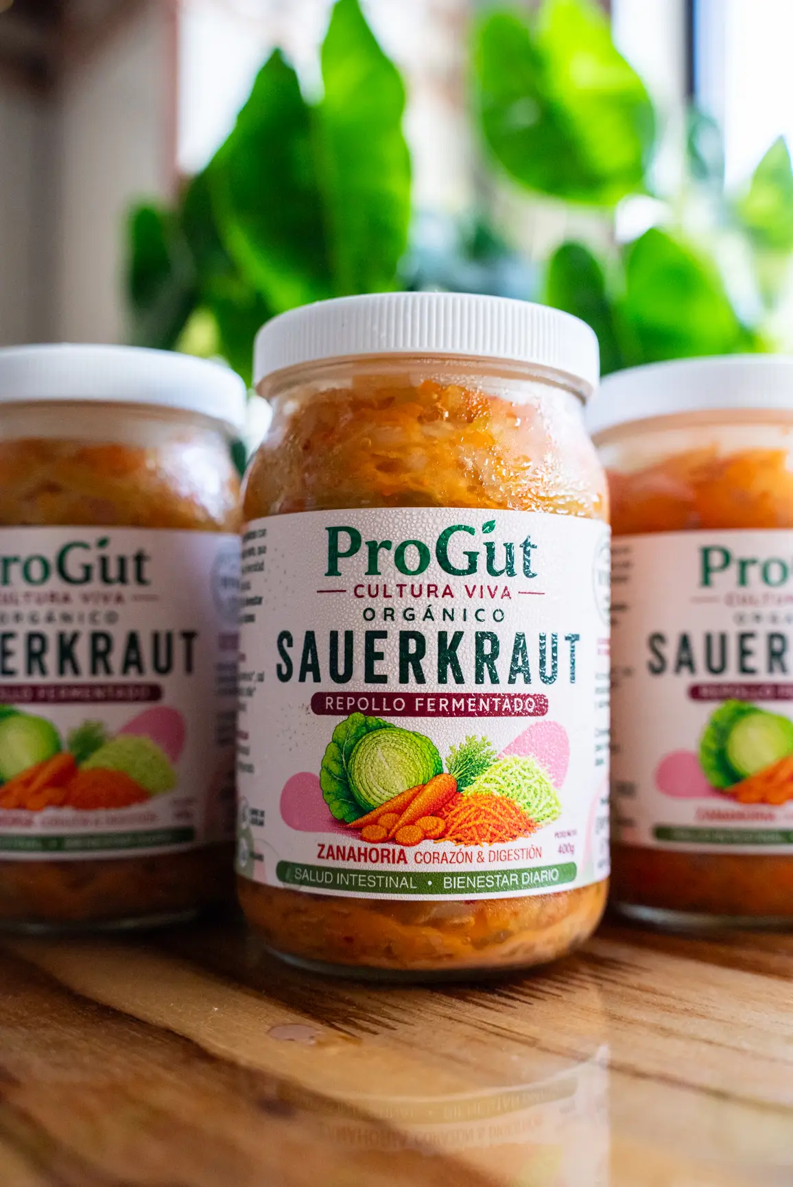 Sauerkraut Signature (Zanahoria)
